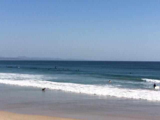 Sea Breeze on Main Beach Byron Bay Exterior foto